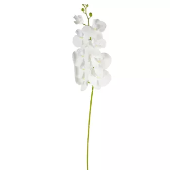 Orchidea szálas gumi fehér M100cm 24db/#