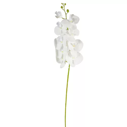 Orchidea szálas gumi fehér M100cm 24db/#
