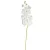 Orchidea szálas gumi fehér M100cm 24db/#