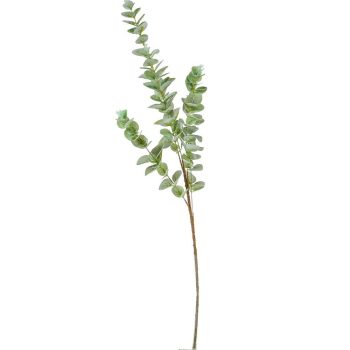 Eukaliptusz ág M95cm 40db/#