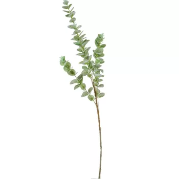 Eukaliptusz ág M95cm 40db/#