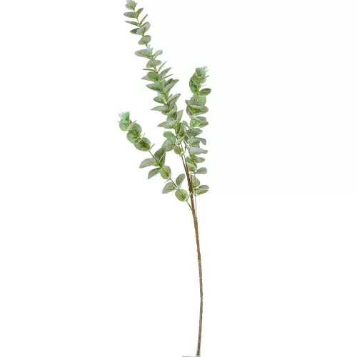 Eukaliptusz ág M95cm 40db/#