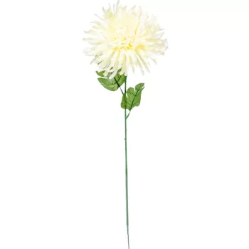 Krizantém szálas krém M70cm 48db/#