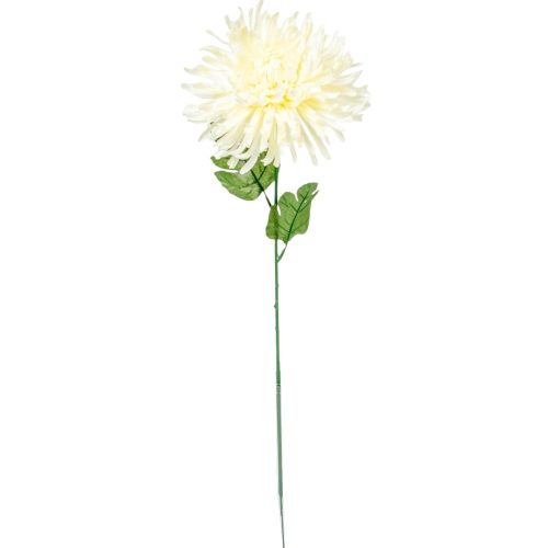 Krizantém szálas krém 70cm