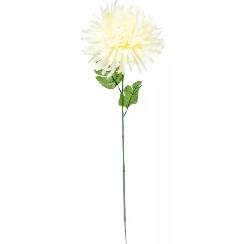 Krizantém szálas krém M70cm 48db/#