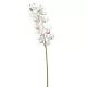 Gumi orchidea ág M75cm 24db/#