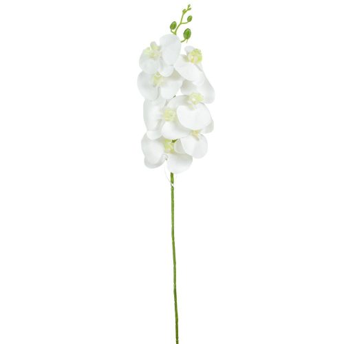 Gumi orchidea ág M78cm 48db/#