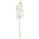 Gumi orchidea ág M78cm 24db/#