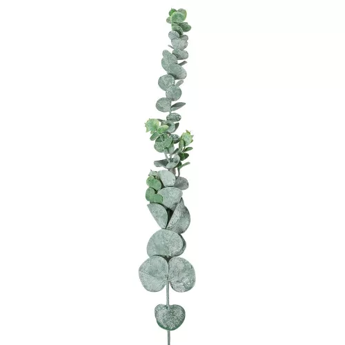 Eukaliptusz ág M68cm 36db/#
