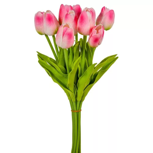 Tulipán köteg gumi 10szál M33cm 12db/#