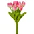 Tulipán köteg gumi 10szál M33cm 12db/#