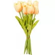Tulipán köteg gumi 10szál M33cm 12db/#