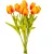Tulipán köteg gumi 10szál M33cm 12db/#