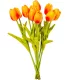 Tulipán köteg gumi 10szál M33cm 12db/#