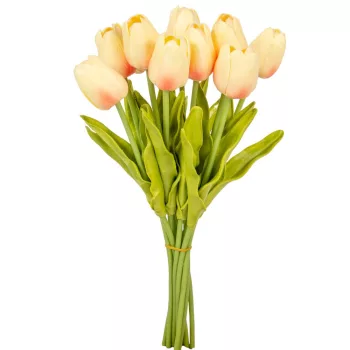 Tulipán köteg gumi 10szál M33cm 12db/#