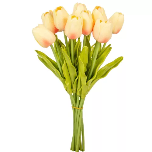 Tulipán köteg gumi 10szál M33cm 12db/#