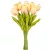 Tulipán köteg gumi 10szál M33cm 12db/#