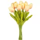 Tulipán köteg gumi 10szál M33cm 12db/#
