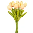 Tulipán köteg gumi 10szál M33cm 12db/#