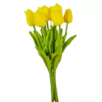 Tulipán köteg gumi 10szál M33cm 12db/#