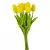 Tulipán köteg gumi 10szál M33cm 12db/#