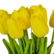 Tulipán köteg gumi 10szál M33cm 12db/#