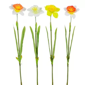 Nárcisz szálas M45cm mix 48db/#