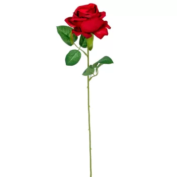 Bársonyrózsa szálas 51cm 2 darabos csomagban rendelhető