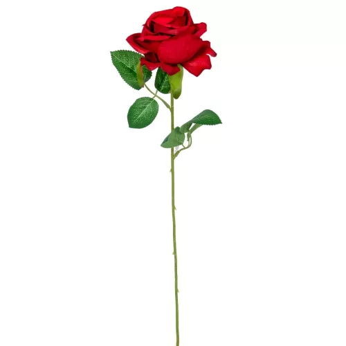 Bársonyrózsa szálas 51cm 2 darabos csomagban rendelhető