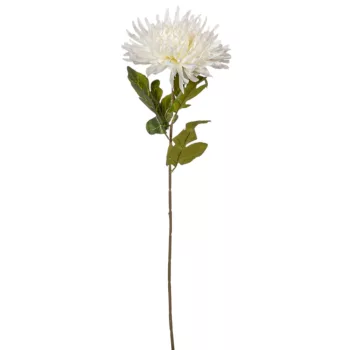 Krizantém szálas krém M70cm 24db/#
