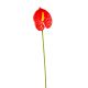 Flamingóvirág szálas gumi piros 40cm