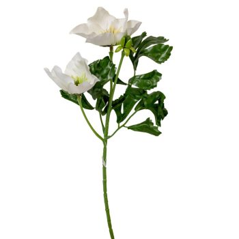 Hunyor ág 2v. M34cm 96db/#