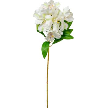 Asztromeria ág 6 virágos krém 60cm