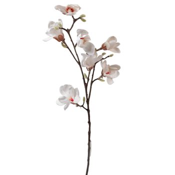 Magnólia ág gumi 7v. krém M100cm 12db/#