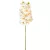 Orchidea ág gumi M70cm 16db/#