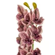 Orchidea ág gumi mix M70cm 16db/#