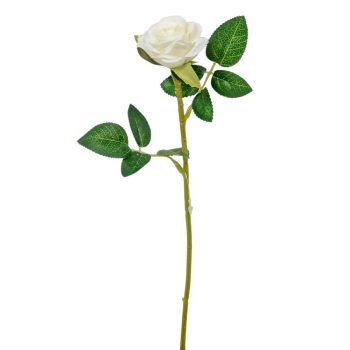 Rózsa szálas krém 26cm