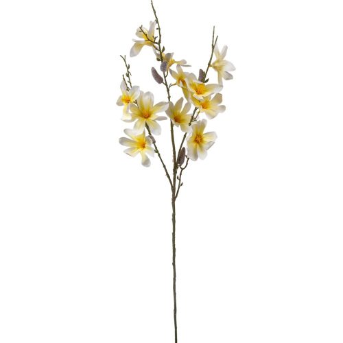 Magnólia ág krém M90cm 36db/#