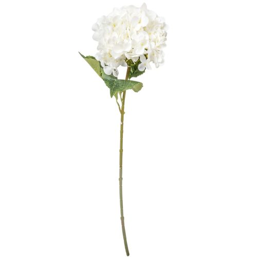 Hortenzia szálas krém M68cm 60db/#