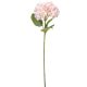 Hortenzia szálas rózsaszín M68cm 60db/#