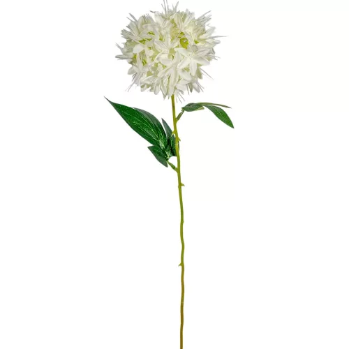 Hagymavirág szálas M56cm 36db/#