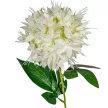 Hagymavirág szálas M56cm 36db/#