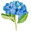 Hortenzia szálas kék M66cm 24db/#