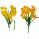 Nárcisz csokor gumi 7 ágú M35cm 48db/#