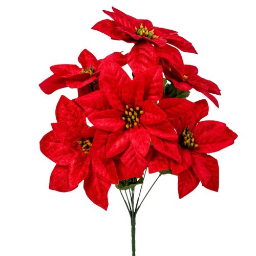 Mikulásvirág csokor  7 virágos piros 38cm