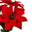 Mikulásvirág csokor 5 virágos piros 36cm