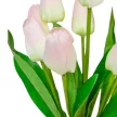 Tulipán csokor 9 virágos világosrózsaszín 37cm