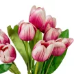 Tulipán csokor 9v. M43cm 24db/#
