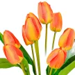Tulipán csokor 9v. M44cm 24db/#