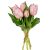 Tulipán köteg gumi pink 7v. M29cm 12db/#